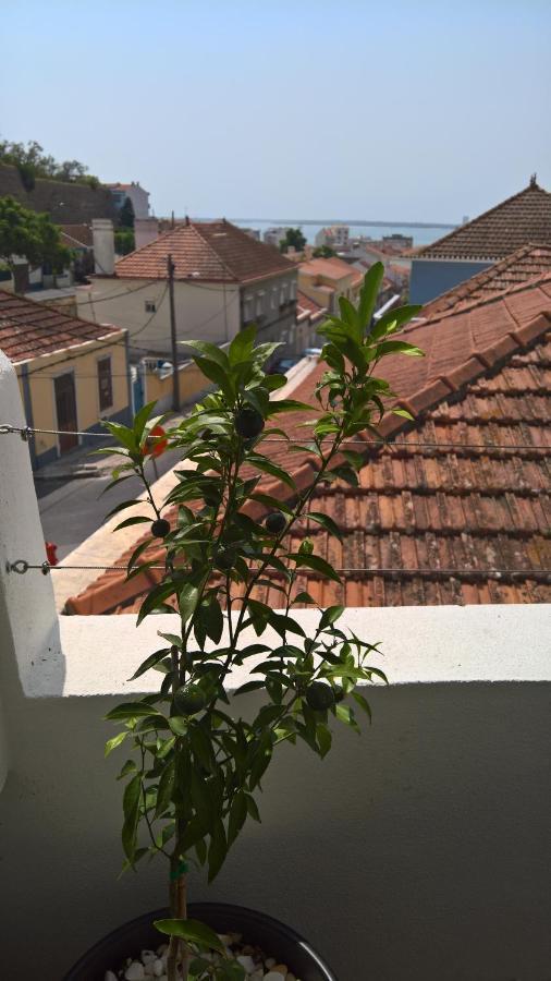 Casa Do Viso Villa Setúbal Exterior foto